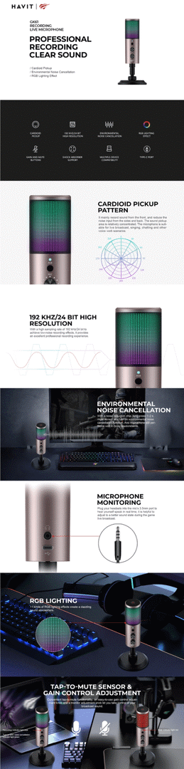 Havit Gk61 Rgb Recording Live Streaming Gaming Professional Condenser Microphone H