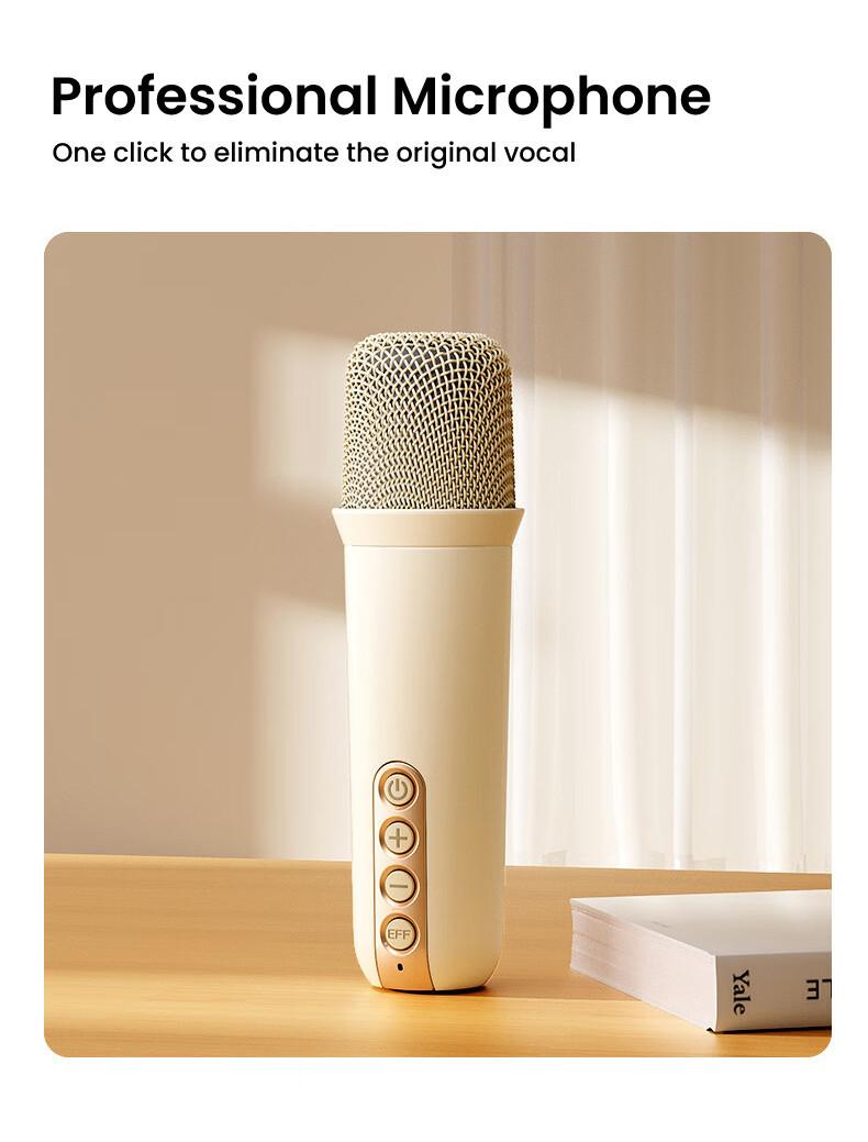 Philips Tas2808 Karaoke Wireless Bluetooth Speaker A