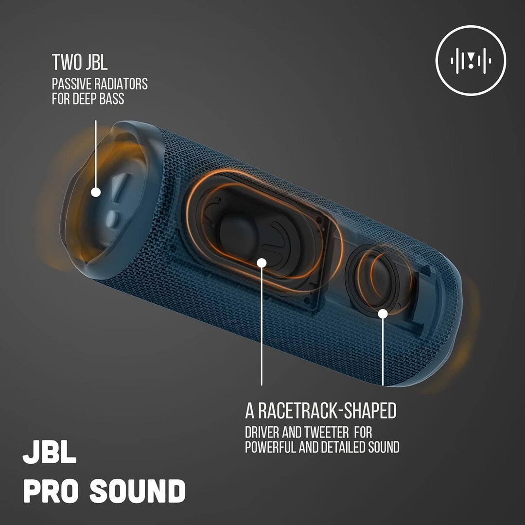 Jbl Flip 6 Waterproof Portable Bluetooth Speaker B