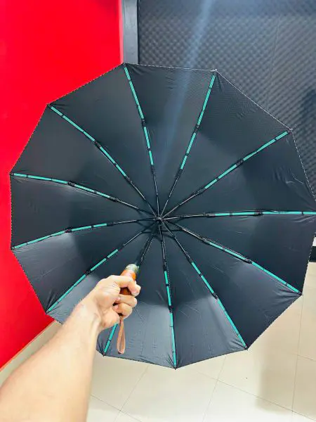Premium 12 Ribs Automatic Open Close Wood Handle Umbrella A D Premium 12 Ribs Automatic Open Close Wood Handle Umbrella A D