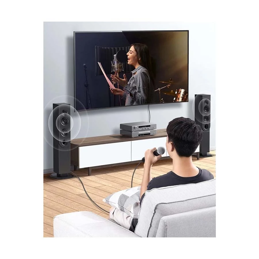 Ugreen Av162 80440 6 5Mm Female To Cannon Xlr Male Converter B