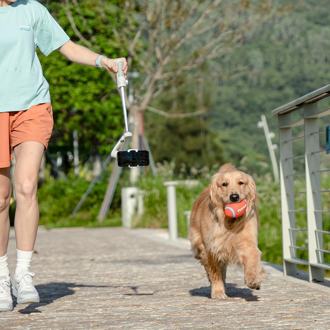 Feiyu Vb 4 3 Axis Handheld Gimbal For Smartphone C